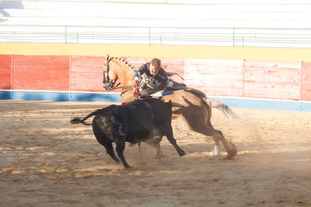MALPARTIDA DE PLASENCIA, SPAIN - July 07: Rejoneo at bullring. The Rejoneador is Martin...