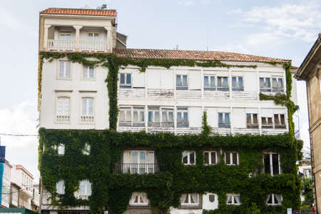 An old house in Galicia with its facade covered by green ivy. Outdoors.のeditorial素材