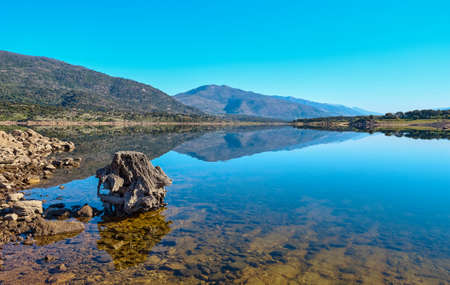 Trunk of an old tree on the shore of a lake with calm water and reflection of the mountains in the backgroundの写真素材