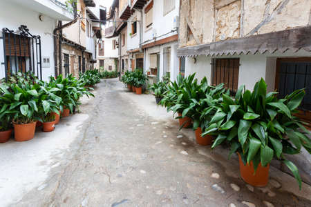 Villanueva de la Vera, Spain - March 08, 2021: A typical potted street with coves (zantedeschia aethiopica) commonly known as gannet, calla, Ethiopian creek, Ethiopian hoop, water lily, and traditional architectureのeditorial素材