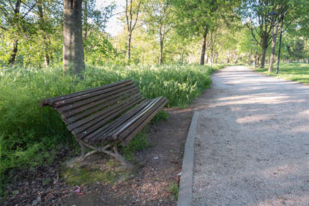 Wooden vintage bench in a public Park.