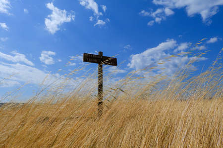 A wooden sign in the middle of a field of dry yellow grass during the summer.の写真素材