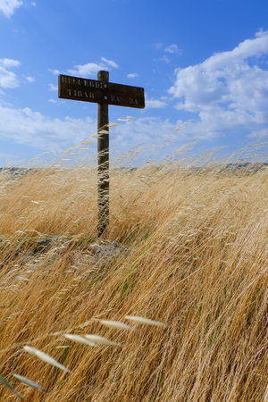 A wooden sign in the middle of a field of dry yellow grass during the summer.の写真素材
