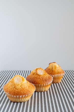 Two small chocolate chip muffins