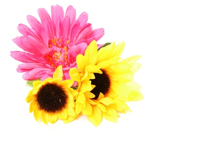 flowers and blossomsの写真素材