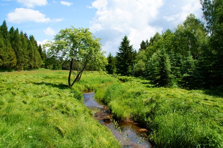 small streamの写真素材