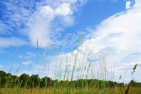 blue sky and cloudsの写真素材