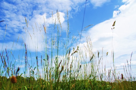 blue sky with cloudsの写真素材