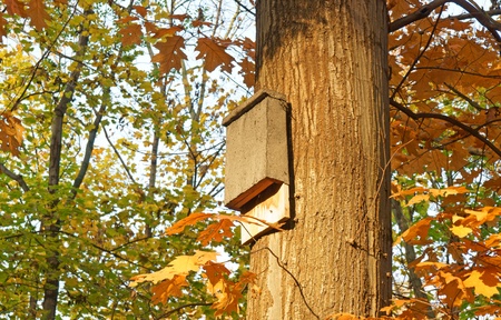 bird brut cabinetsの写真素材