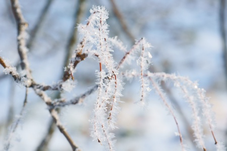 winter seasonの写真素材