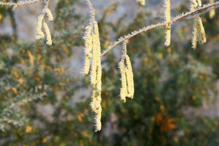 winter seasonの写真素材