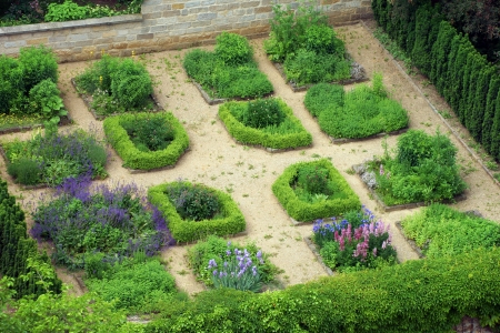 Garden from above