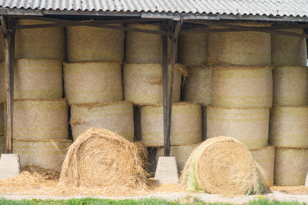 Straw bales in a warehouseの写真素材