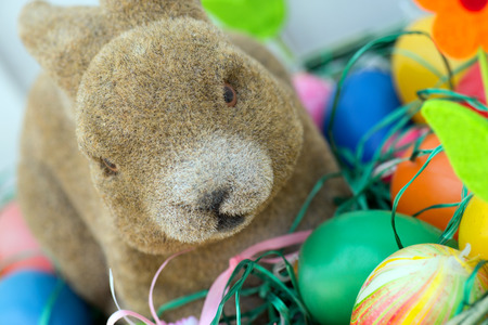 Easter eggs and Easter bunnyの写真素材
