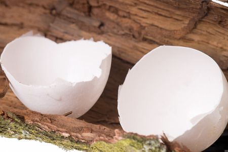 broken chicken eggの写真素材