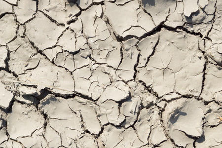 parched ground の写真素材