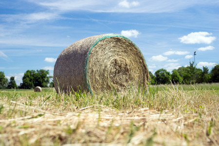 Landscape with bales of strawの写真素材