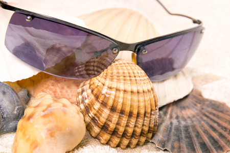 Sunglasses with sea shells on a towelの写真素材