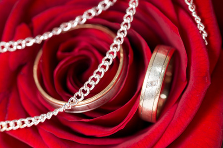 red rose with wedding ringsの写真素材