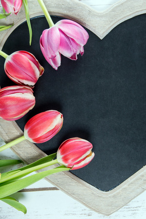 Wooden panel in heart shape with tulipsの写真素材