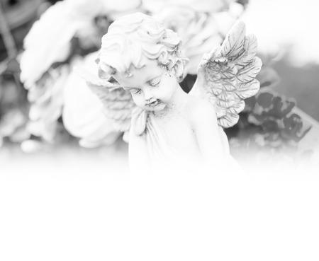 Angel on a cemetery in black and whiteの写真素材