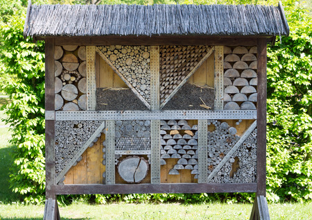 Insect hotel for insects and bugsの写真素材