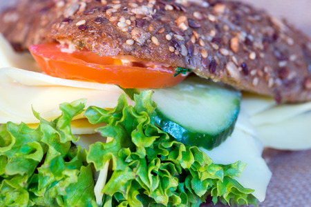 Bun topped with cheese, cucumber and salad