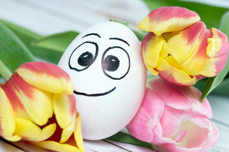funny easter eggs and Tulipsの写真素材