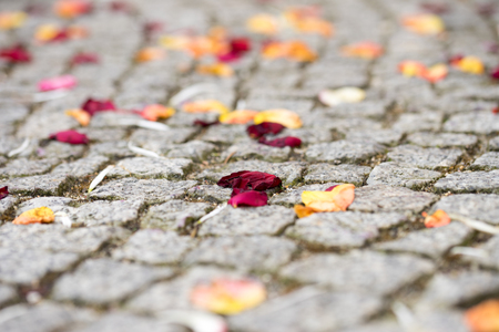 Rose petals are outside the registry officeの写真素材