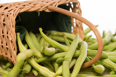 many freshly harvested green beansの写真素材