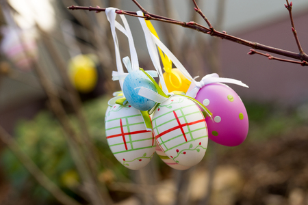 Colorful Easter eggs on a shrubの写真素材