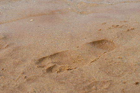 Foot lane in the sandの写真素材