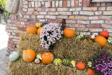 decoration in a garden with pumpkinの写真素材