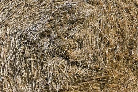 close up of a straw baleの写真素材
