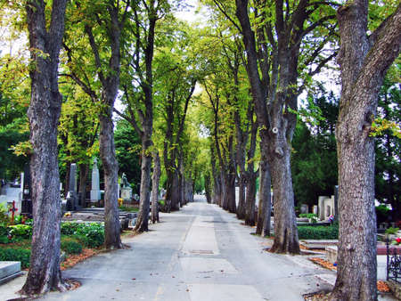 Alley of wild chestnuts on the city cemetery Mirogoj in Zagreb, Croatia