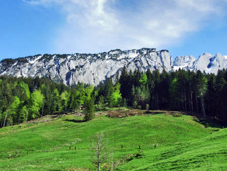 Spring view of the Alpstein mountain of Switzerland, Appenzellの写真素材