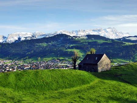 Stand for outdoor cattle in Swiss alps, Appenzellの写真素材