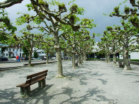 Modern park with alley in Kreuzlingen - Canton of Thurgau, Switzerlandの写真素材