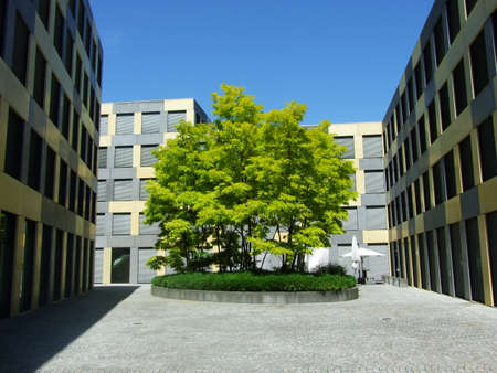 Lonely and isolated tree at the business zone square in St. Gallen, Switzerlandのeditorial素材