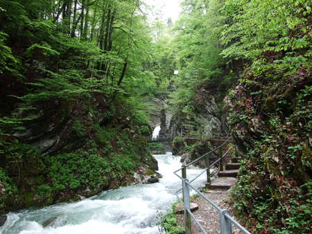 The Thur River Canyon (die Schlucht des Flusses Thur) in the Unterwasser settlement and the Obertoggenburg region - Canton of St. Gallen, Switzerlandの写真素材