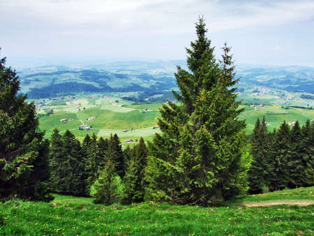 Farms and pastures of the ZÃ¼rchersmÃ¼hle village - Canton of Appenzell Ausserrhoden, Switzerlandの写真素材