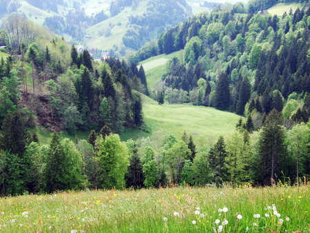 Farms and pastures of the ZÃ¼rchersmÃ¼hle village - Canton of Appenzell Ausserrhoden, Switzerlandの写真素材
