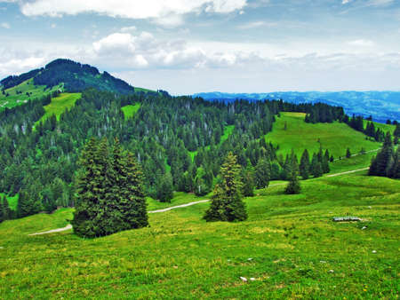 Picturesque pastures and hills in Appenzellerland - Canton of Appenzell Innerrhoden, Switzerlandの写真素材