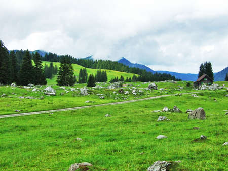 Picturesque pastures and hills in Appenzellerland - Canton of Appenzell Innerrhoden, Switzerlandの写真素材