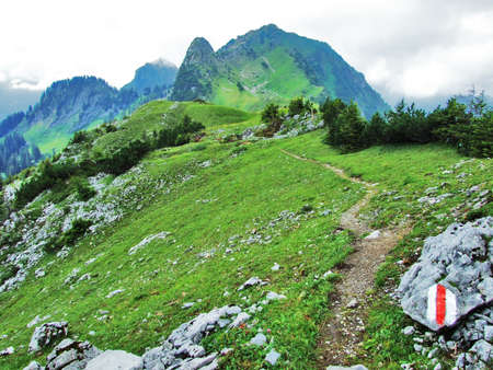 Panoramic view on the landscape from Obertoggenburg mountain - Canton St. Gallen, Switzerlandの写真素材