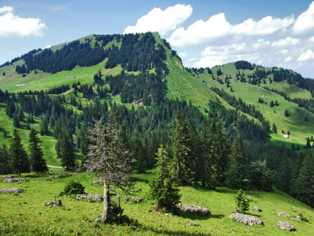 Stockberg peak on the Obertoggenburg mountain - Canton St. Gallen, Switzerlandの写真素材