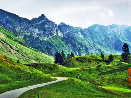 Alpine landscape of Wideralp area - Canton of St. Gallen, Switzerlandの写真素材