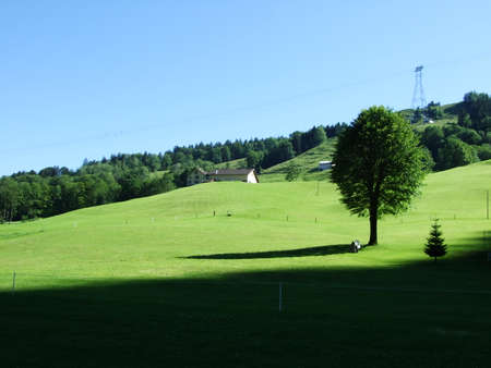 Picturesque pastures and hills in the Appenzellerland area - Canton of Appenzell Innerrhoden, Switzerlandの写真素材