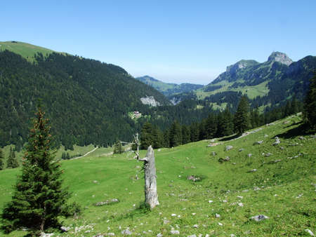 Picturesque pastures and hills in the Appenzellerland area - Canton of Appenzell Innerrhoden, Switzerlandの写真素材