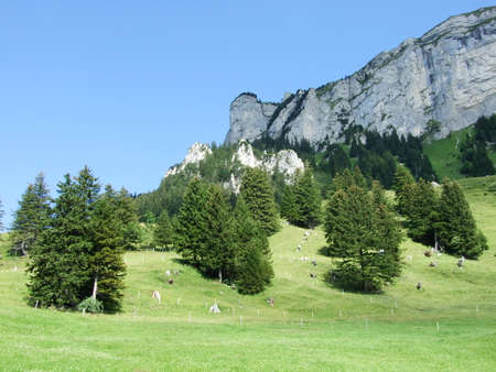 Picturesque pastures and hills in the Appenzellerland area - Canton of Appenzell Innerrhoden, Switzerlandの写真素材